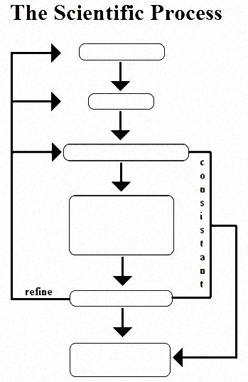 Scientific Method Flow Chart Blank